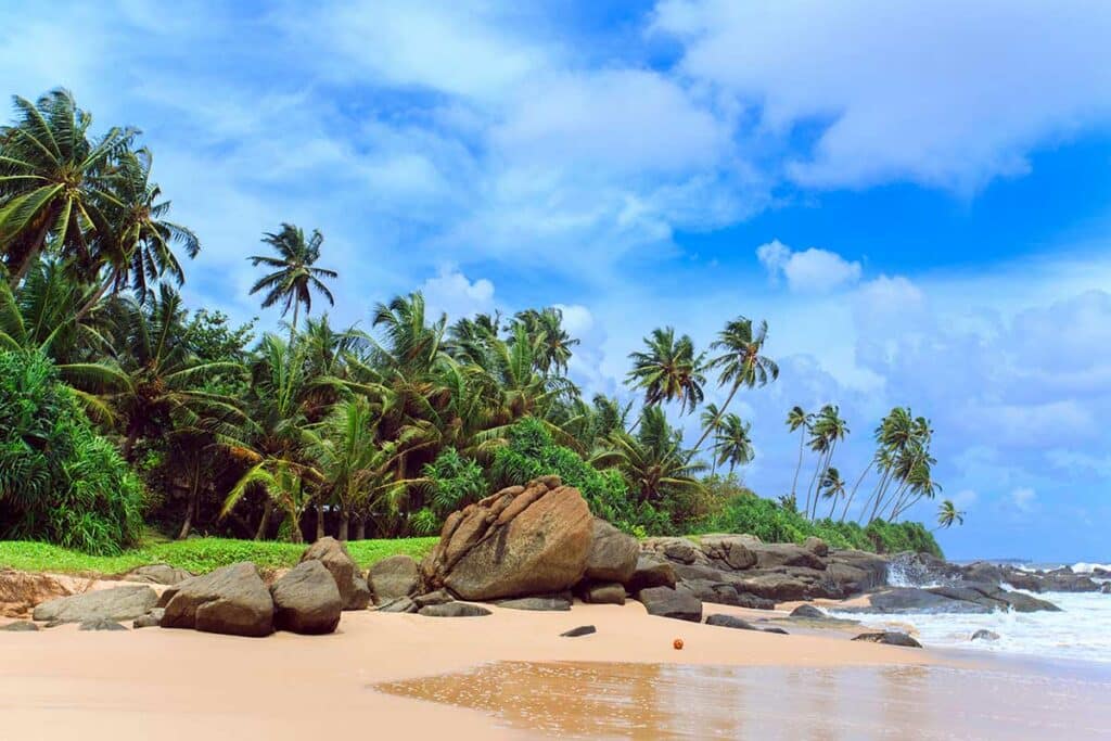 Plage paradisiaque à Arugam Bay