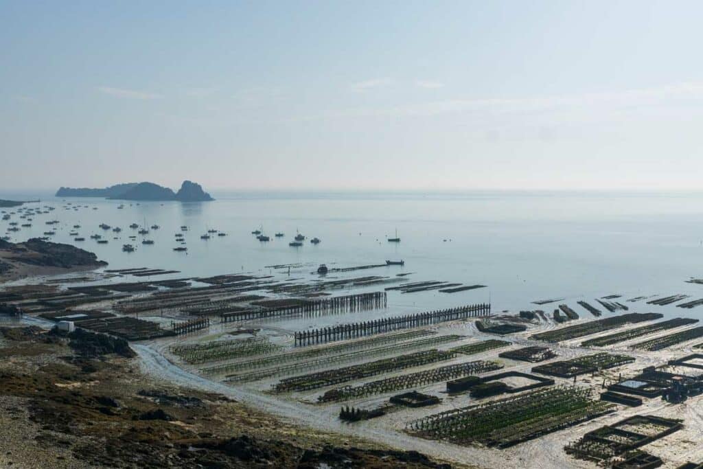 parcs à huitres de cancale