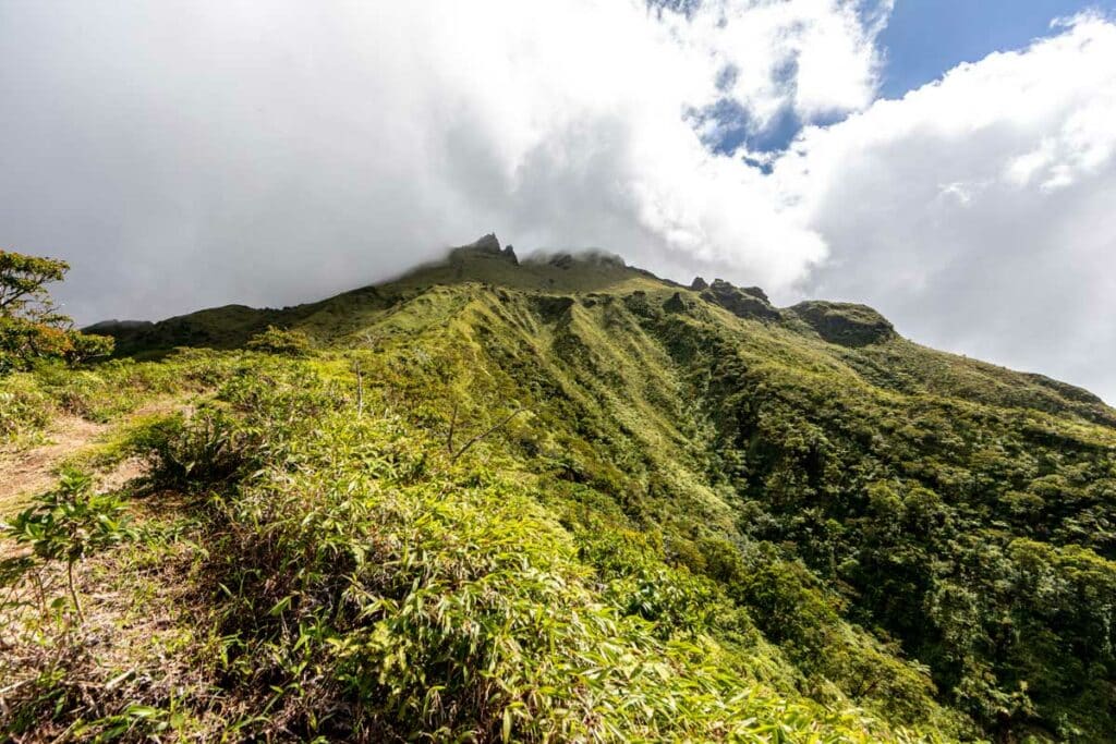 Le sommet de la Montagne Pelée en Martinique